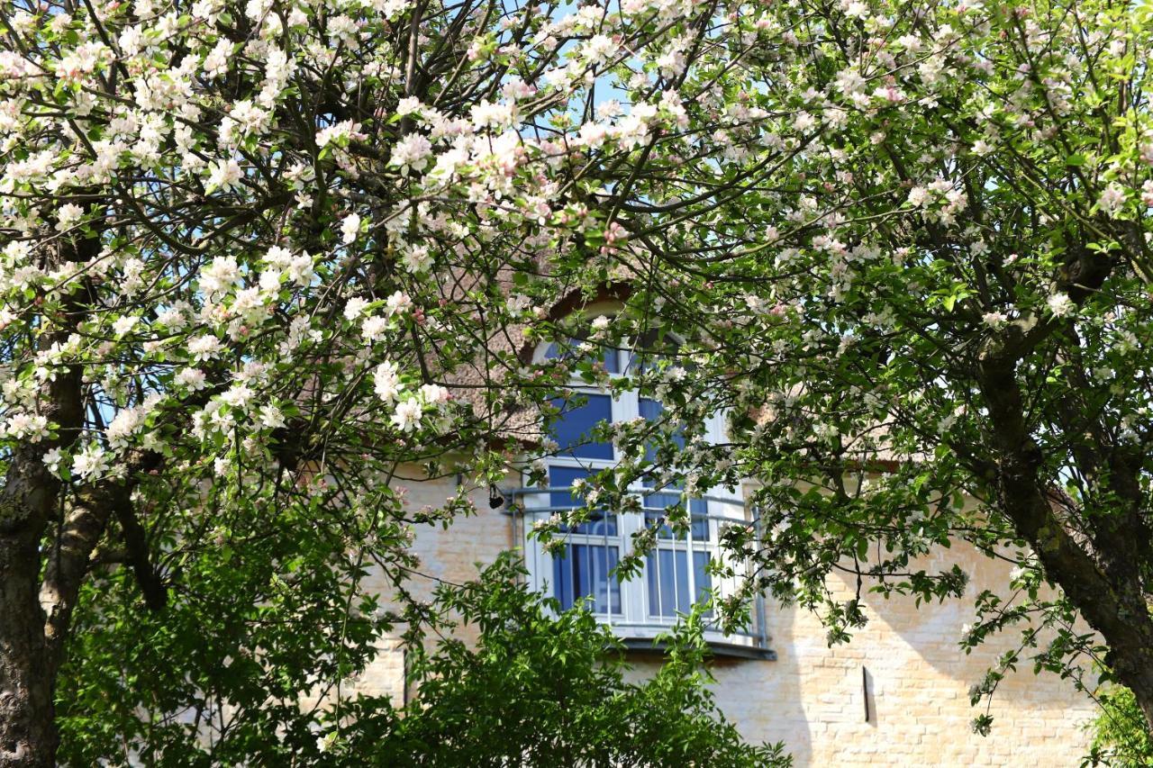 Hotel Bakkehuset Countryhouse Skovby  Exterior foto